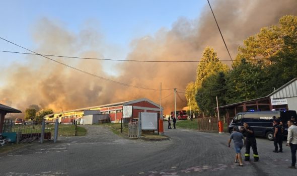 GORI fabrika peleta "Dorado" na Košutnjaku (VIDEO)