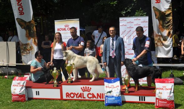 Izložba pasa “Kragujevački pobednik 2016.” u Šumaricama