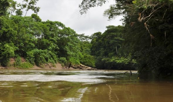 Amazonija: Pluća planete u opasnosti