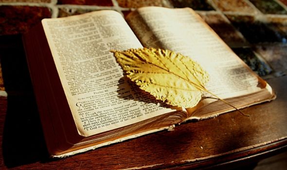 Najstarija skoro kompletna Biblija prodata za rekordnih 38,1 miliona dolara