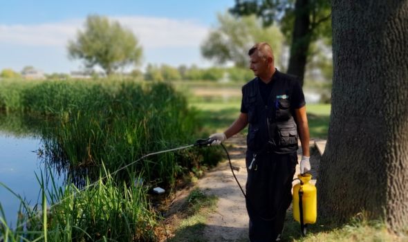 Tretman suzbijanja komaraca u ponedeljak u Kragujevcu