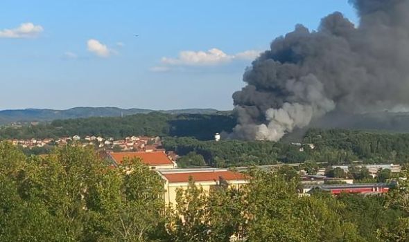 Institut za javno zdravlje: Nema zagađenja vazduha nakon požara na Košutnjaku