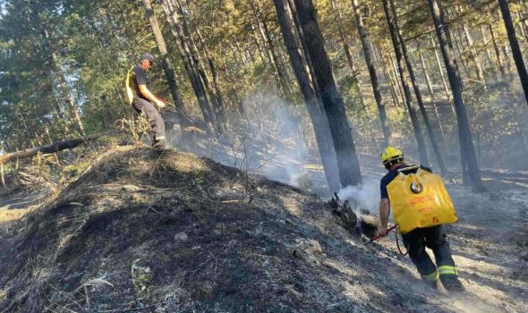 Šumski požar u Stragarima, sprečeno širenje vatre na obližnje kuće (FOTO)