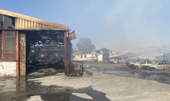 Dan posle požara na Košutnjaku: Vatrogasci i dalje na terenu (FOTO)