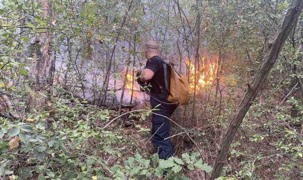 BUKTALI POŽARI na 10 lokacija u Šumadijskom okrugu: Izgoreo kamionet u Šumskom raju (FOTO)